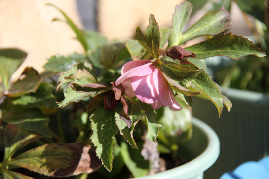 ���悤������������Ⴂ�܂����I