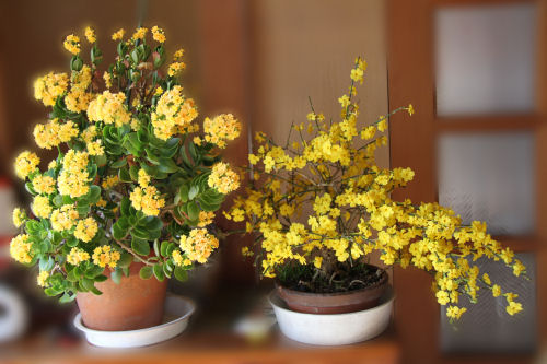 ���悤������������Ⴂ�܂����I