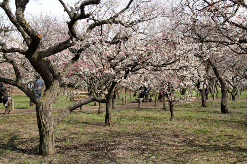 ���悤������������Ⴂ�܂����I