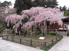 ���悤������������Ⴂ�܂����I