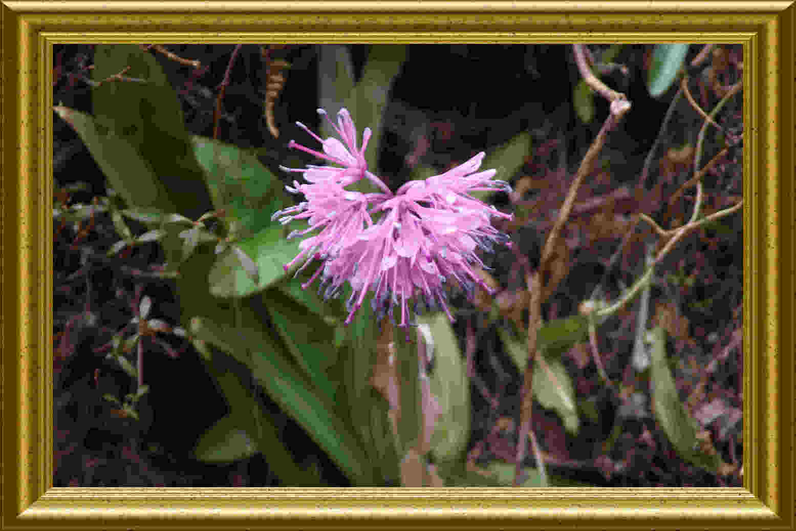 ���悤������������Ⴂ�܂����I