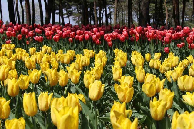 ���悤������������Ⴂ�܂����I