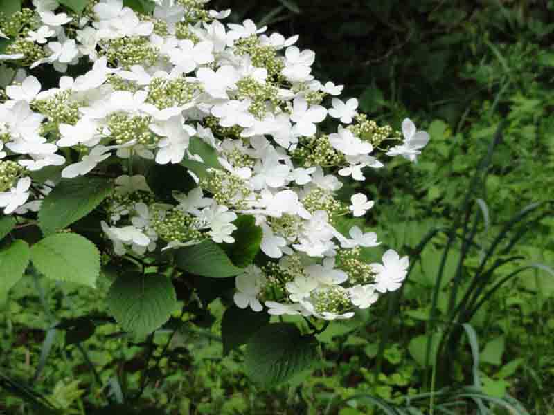 ���悤������������Ⴂ�܂����I