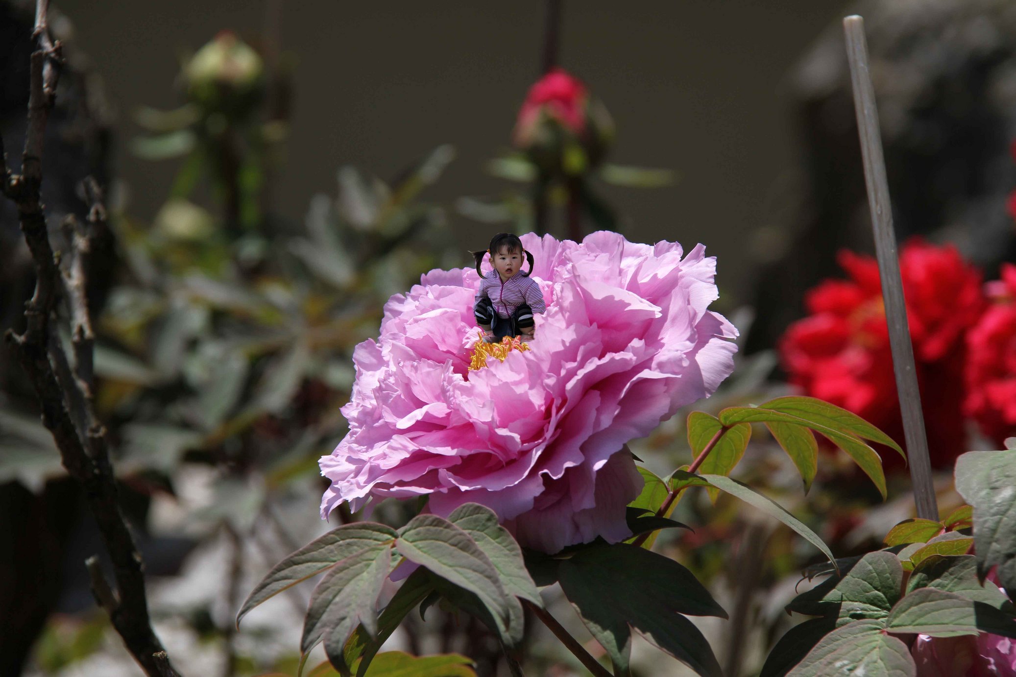 ���悤������������Ⴂ�܂����I