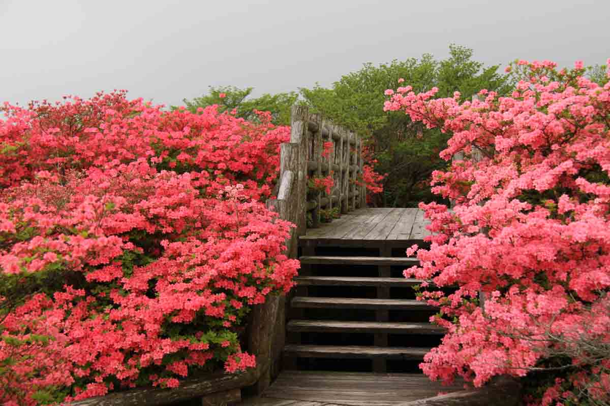 ���悤������������Ⴂ�܂����I