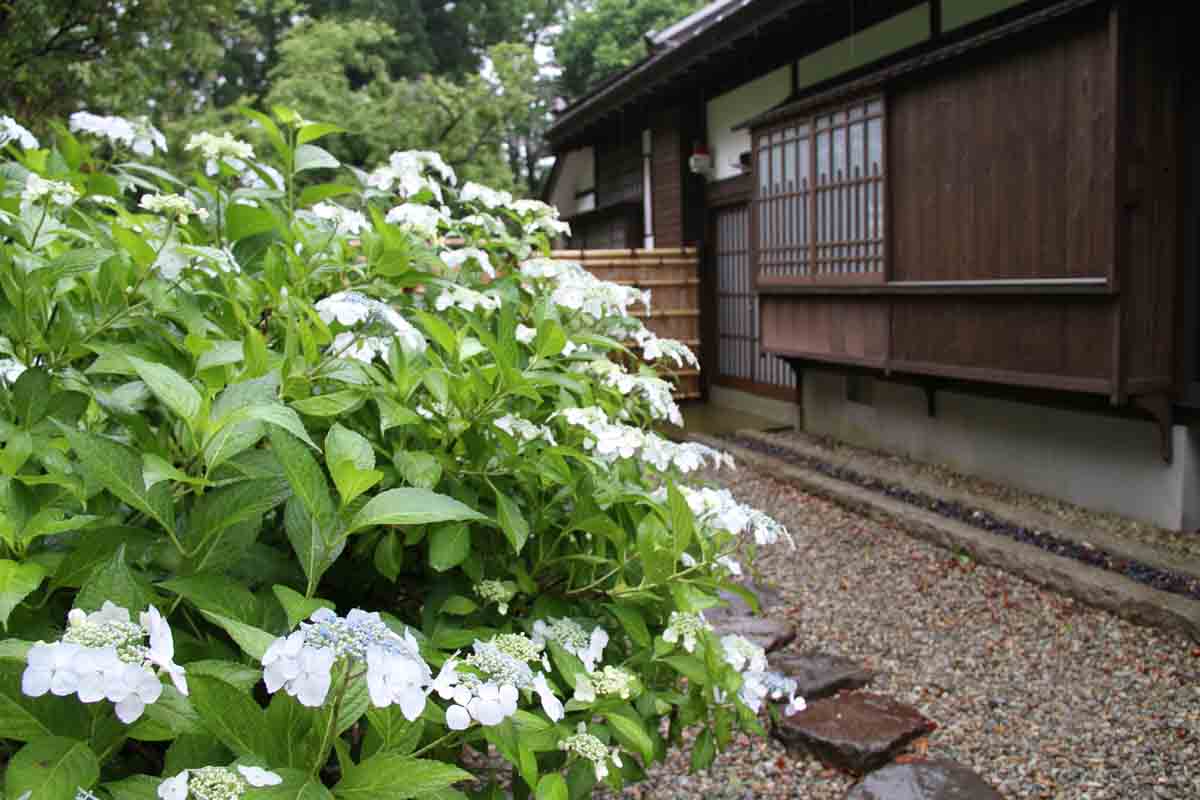 ���悤������������Ⴂ�܂����I