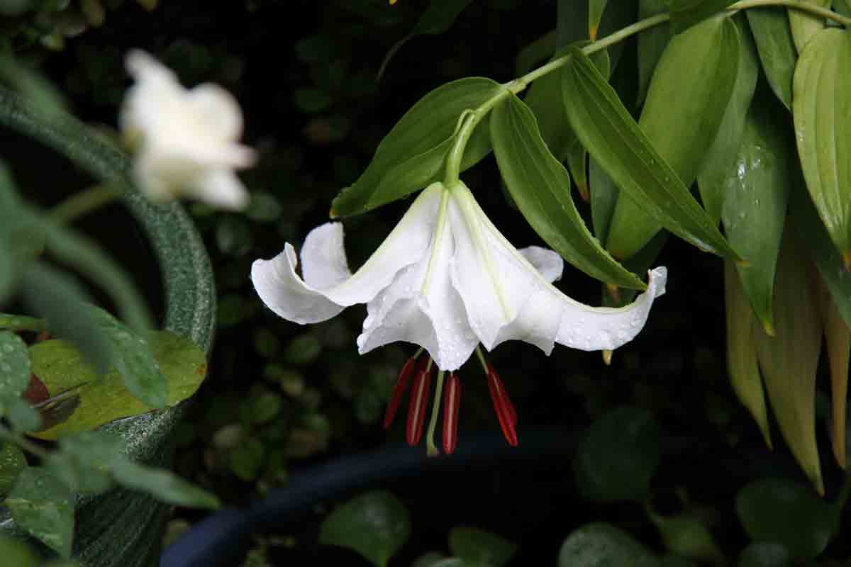 ���悤������������Ⴂ�܂����I