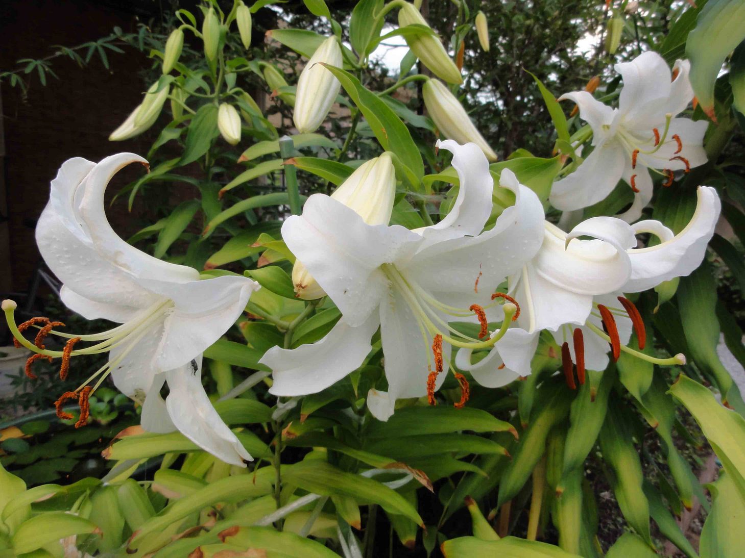 ���悤������������Ⴂ�܂����I