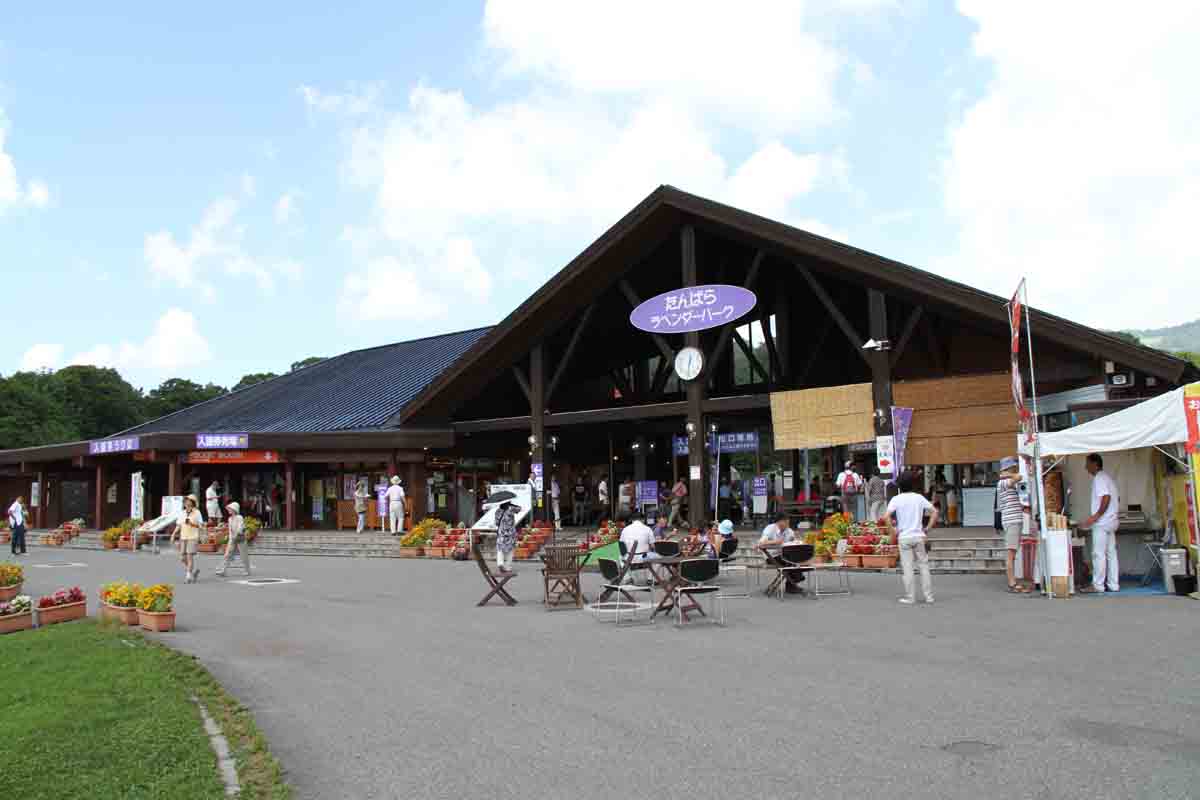 ���悤������������Ⴂ�܂����I