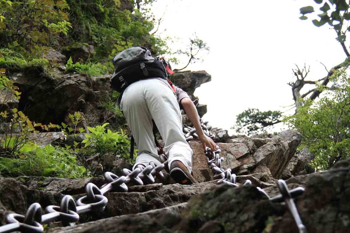 ���悤������������Ⴂ�܂����I