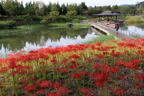 ���悤������������Ⴂ�܂����I