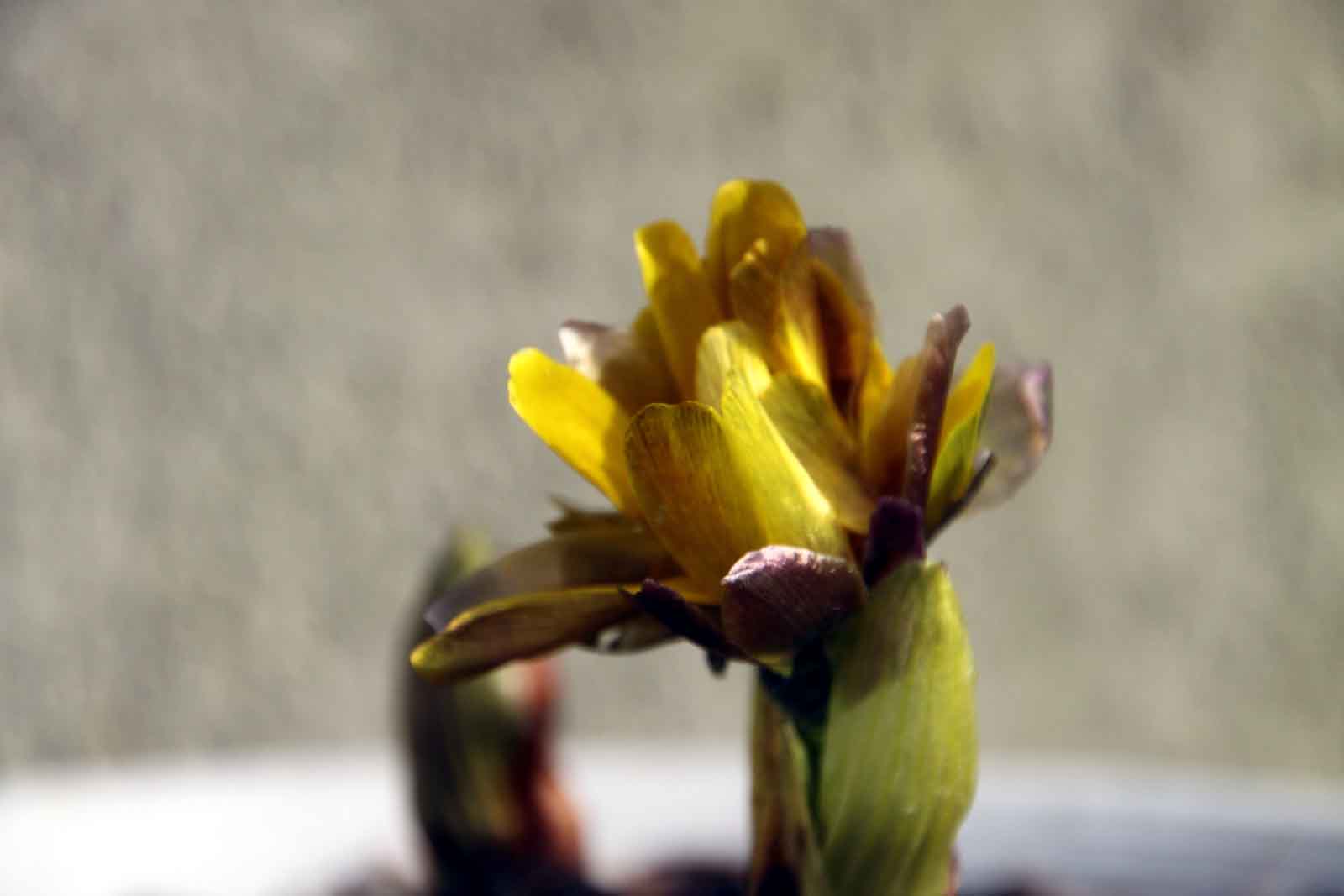 ���悤������������Ⴂ�܂����I