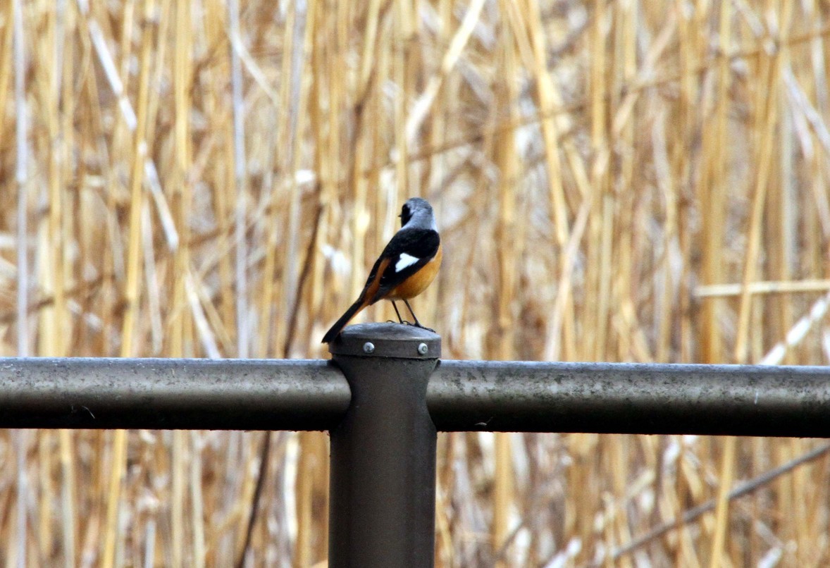 ���悤������������Ⴂ�܂����I