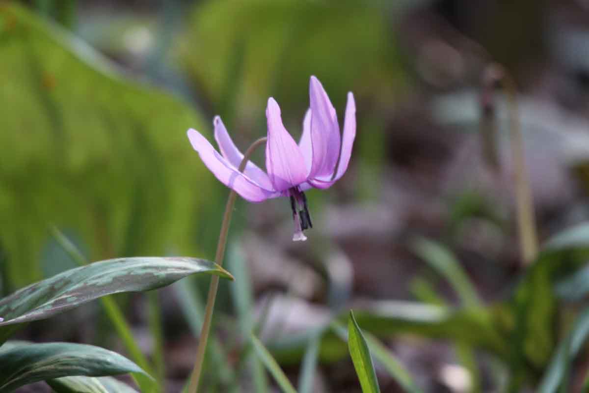 ���悤������������Ⴂ�܂����I