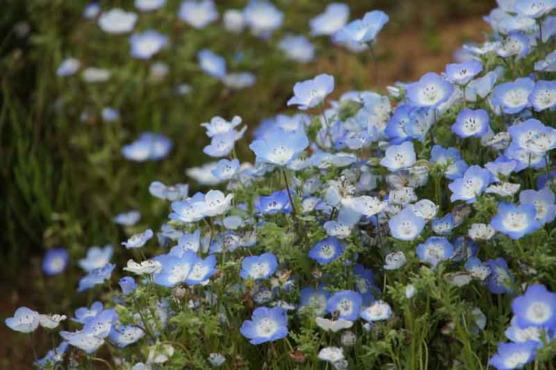 ���悤������������Ⴂ�܂����I