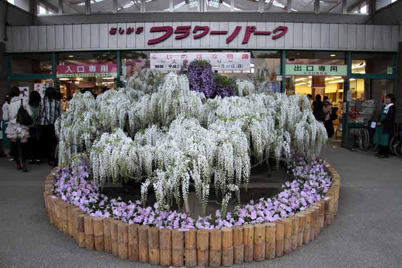 ���悤������������Ⴂ�܂����I