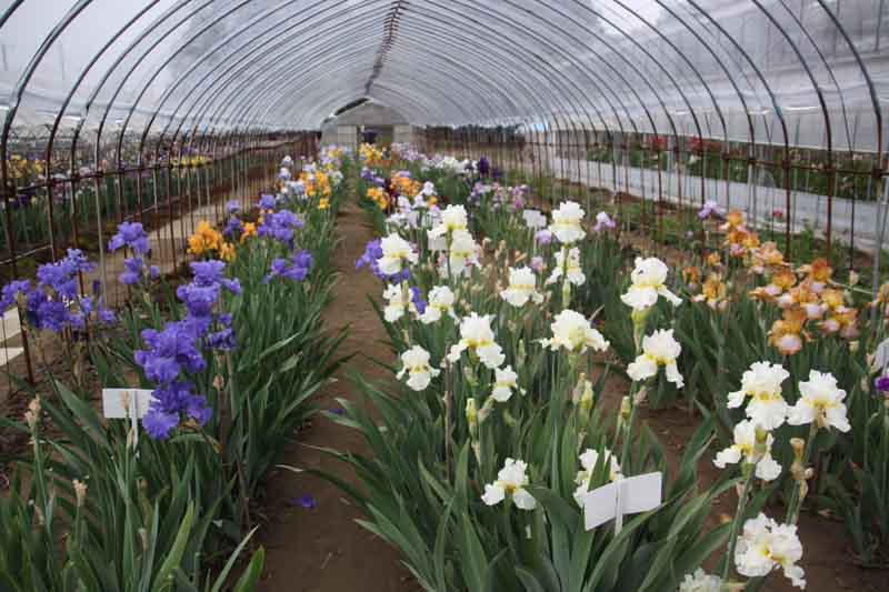 ���悤������������Ⴂ�܂����I