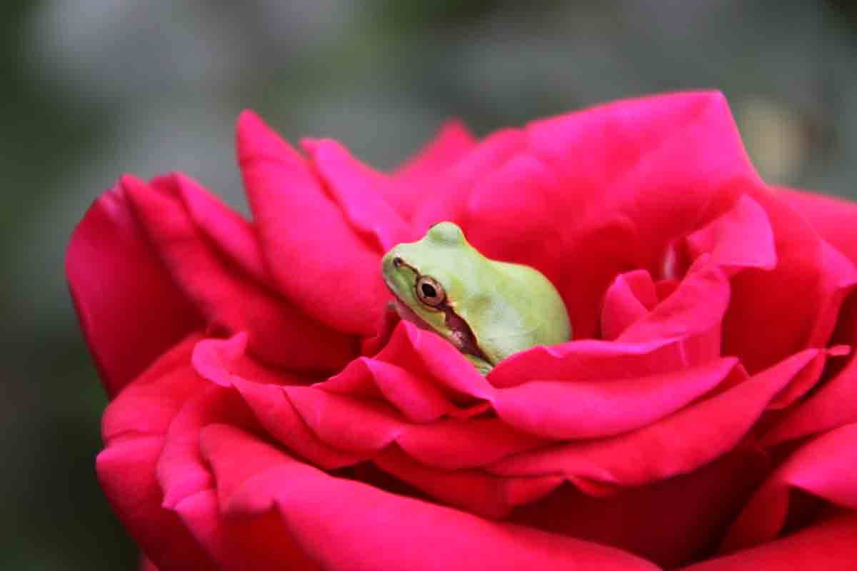 ���悤������������Ⴂ�܂����I