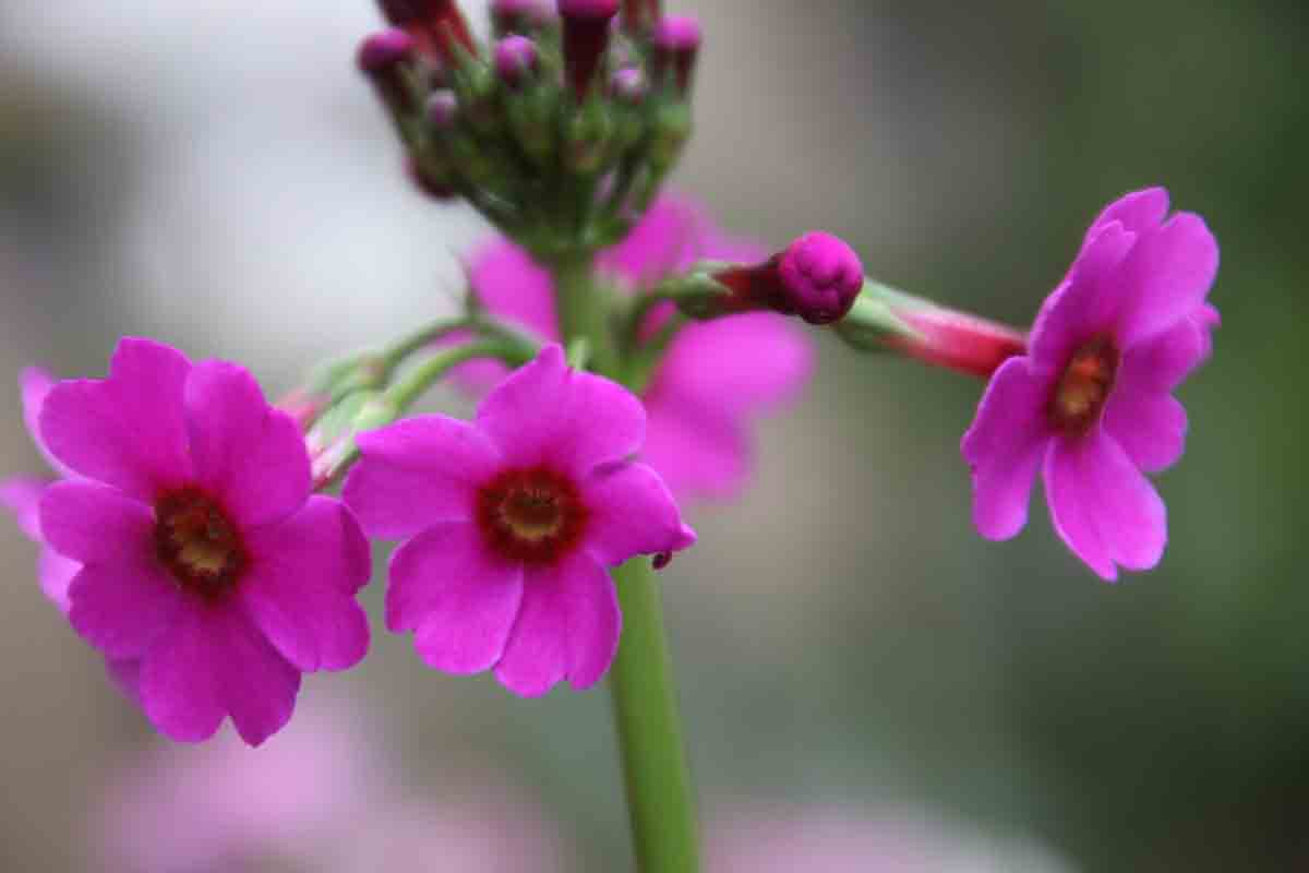 ���悤������������Ⴂ�܂����I