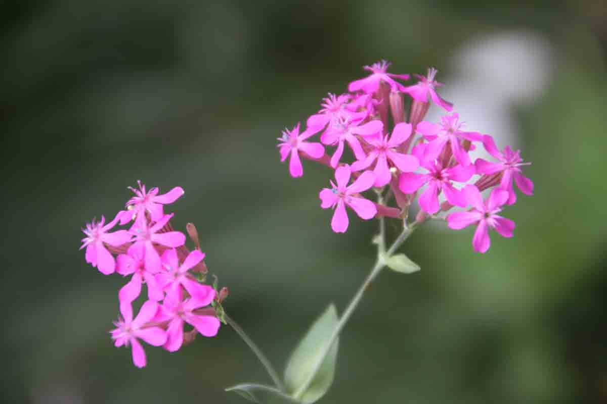 ���悤������������Ⴂ�܂����I