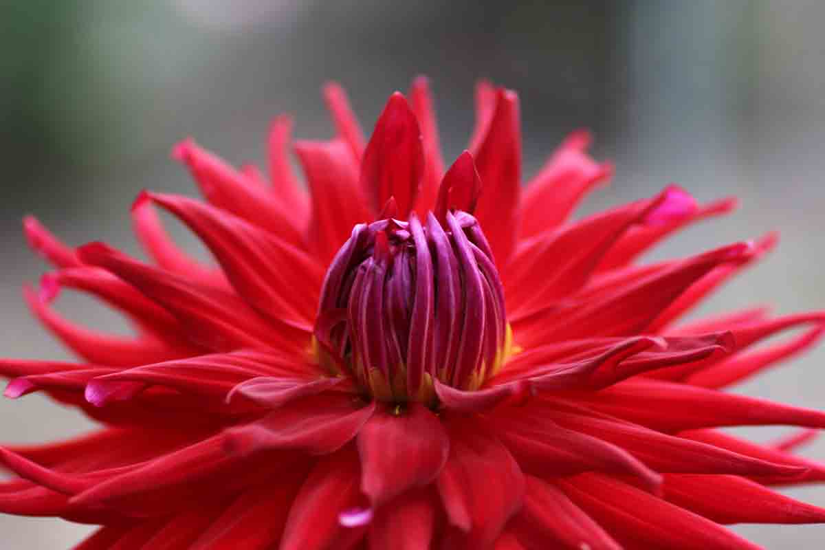 ���悤������������Ⴂ�܂����I