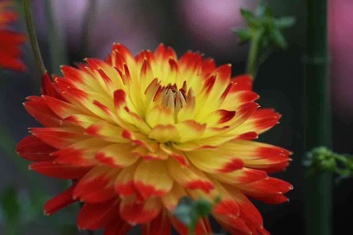 ���悤������������Ⴂ�܂����I