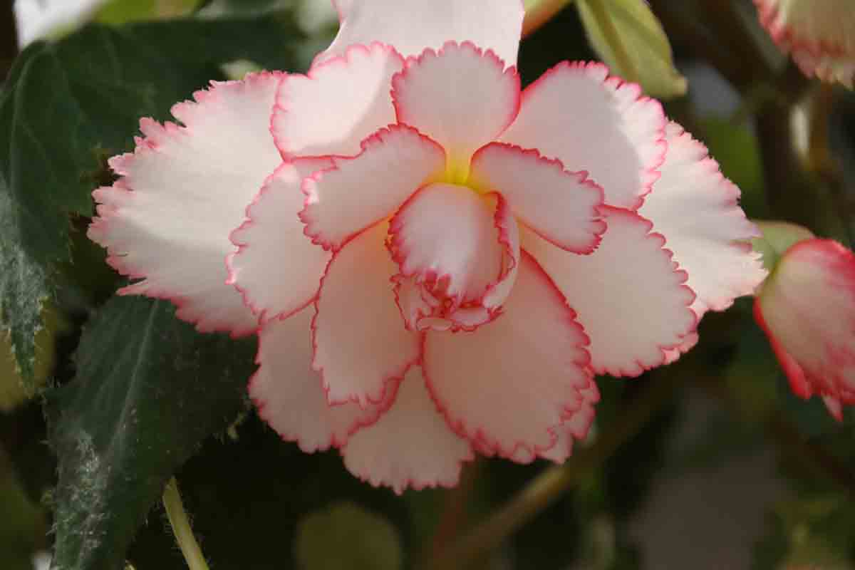 ���悤������������Ⴂ�܂����I