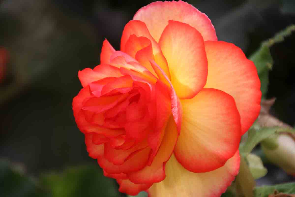 ���悤������������Ⴂ�܂����I