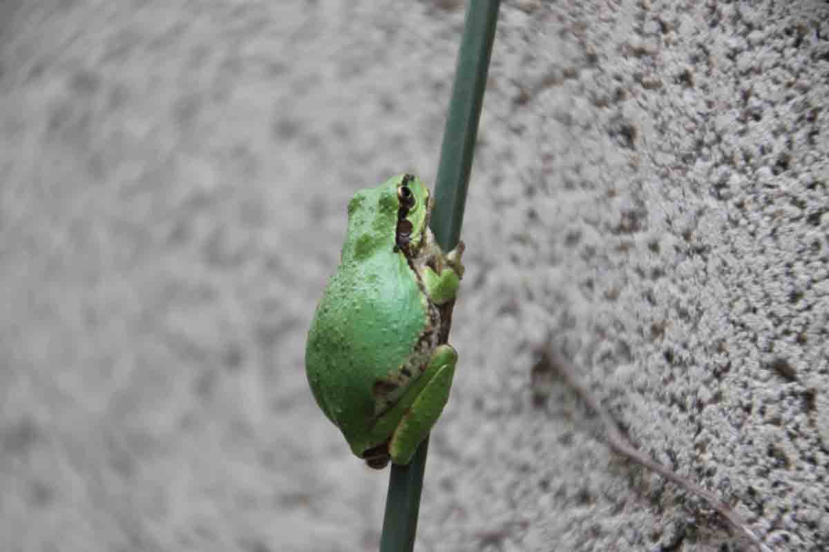 ���悤������������Ⴂ�܂����I