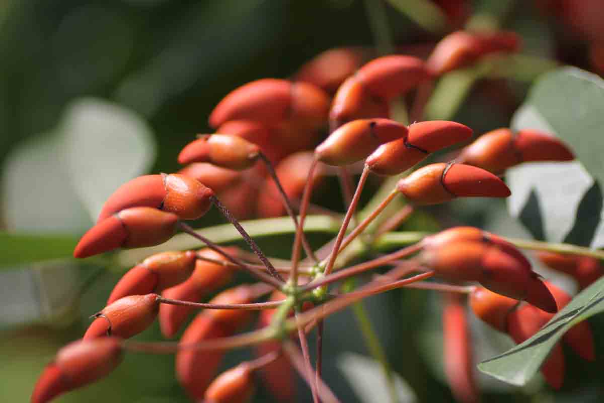 ���悤������������Ⴂ�܂����I