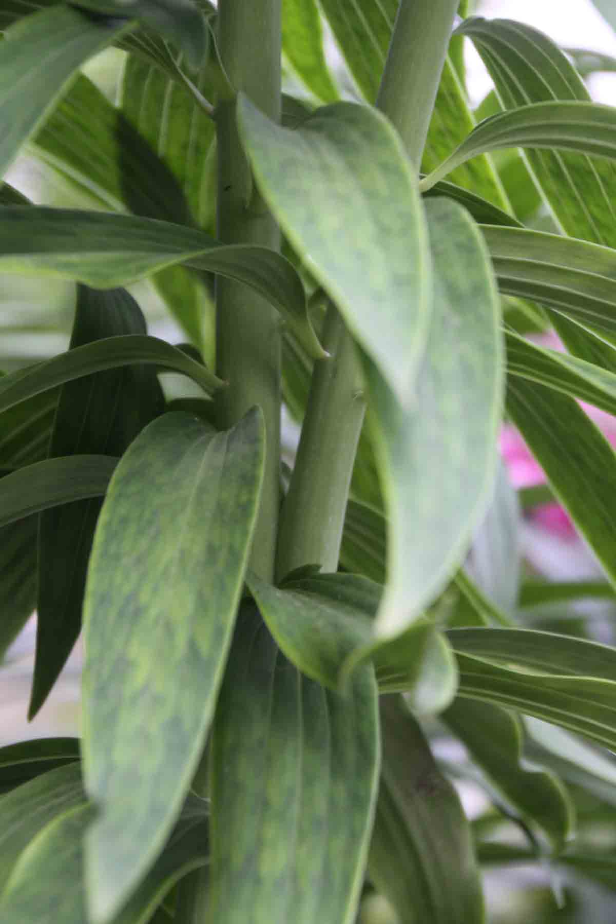 ���悤������������Ⴂ�܂����I