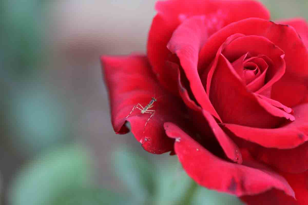 ���悤������������Ⴂ�܂����I