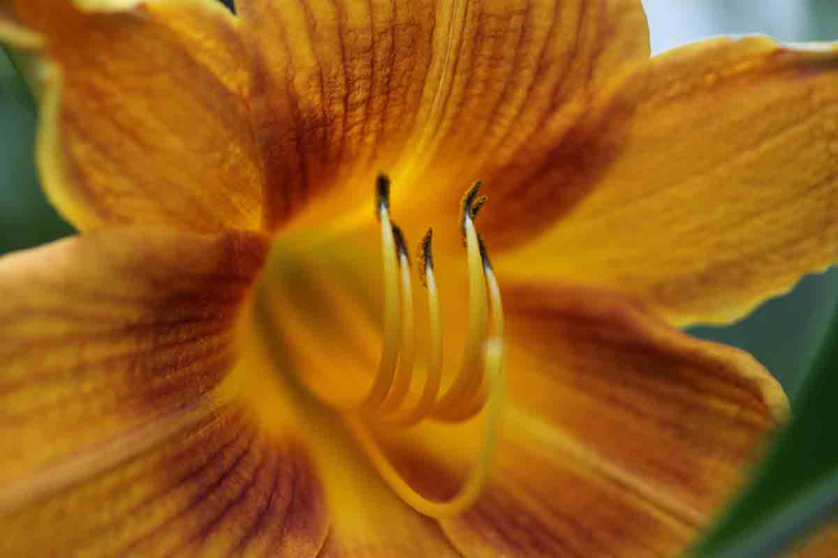 ���悤������������Ⴂ�܂����I