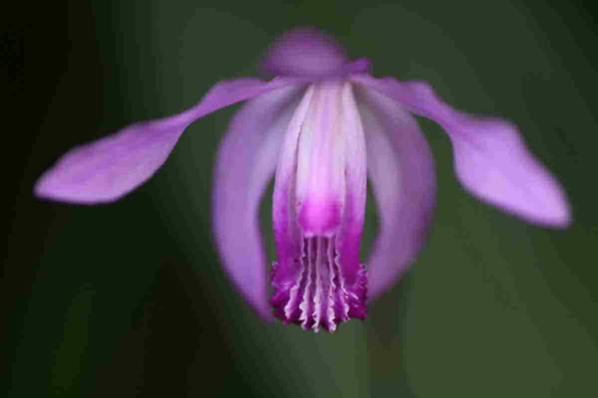 ���悤������������Ⴂ�܂����I