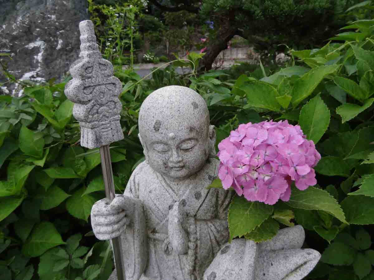 ���悤������������Ⴂ�܂����I