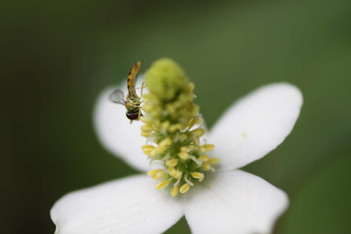 ���悤������������Ⴂ�܂����I