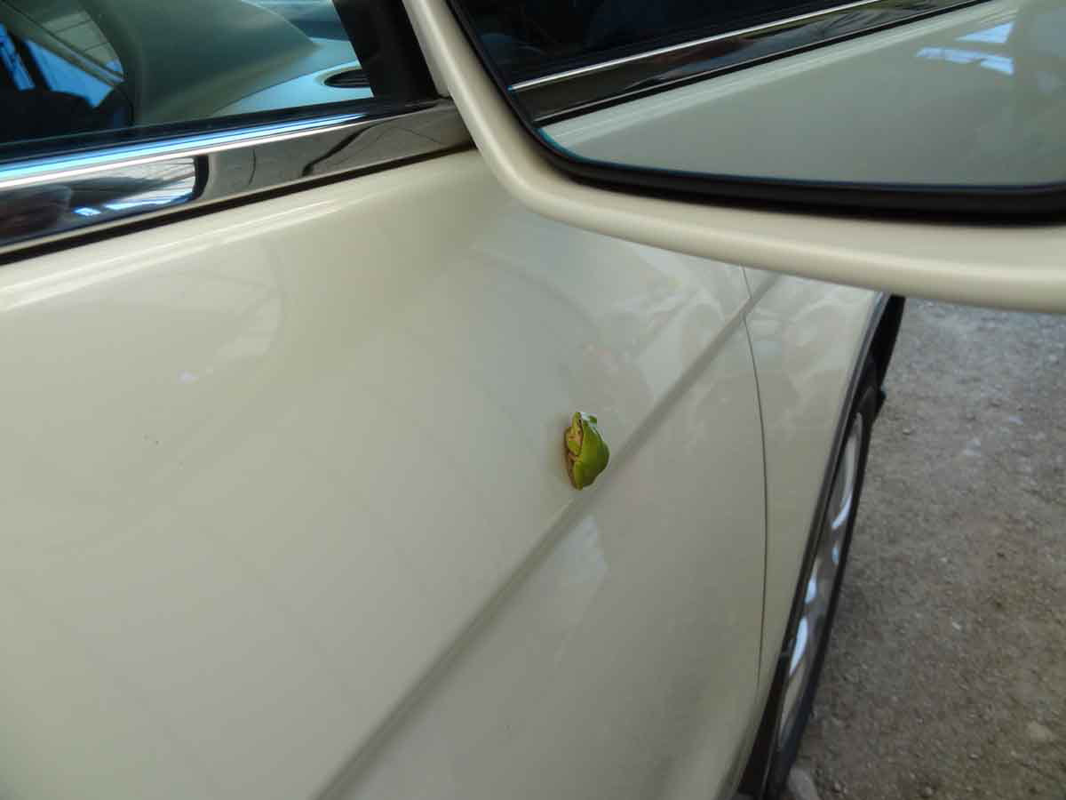 ���悤������������Ⴂ�܂����I