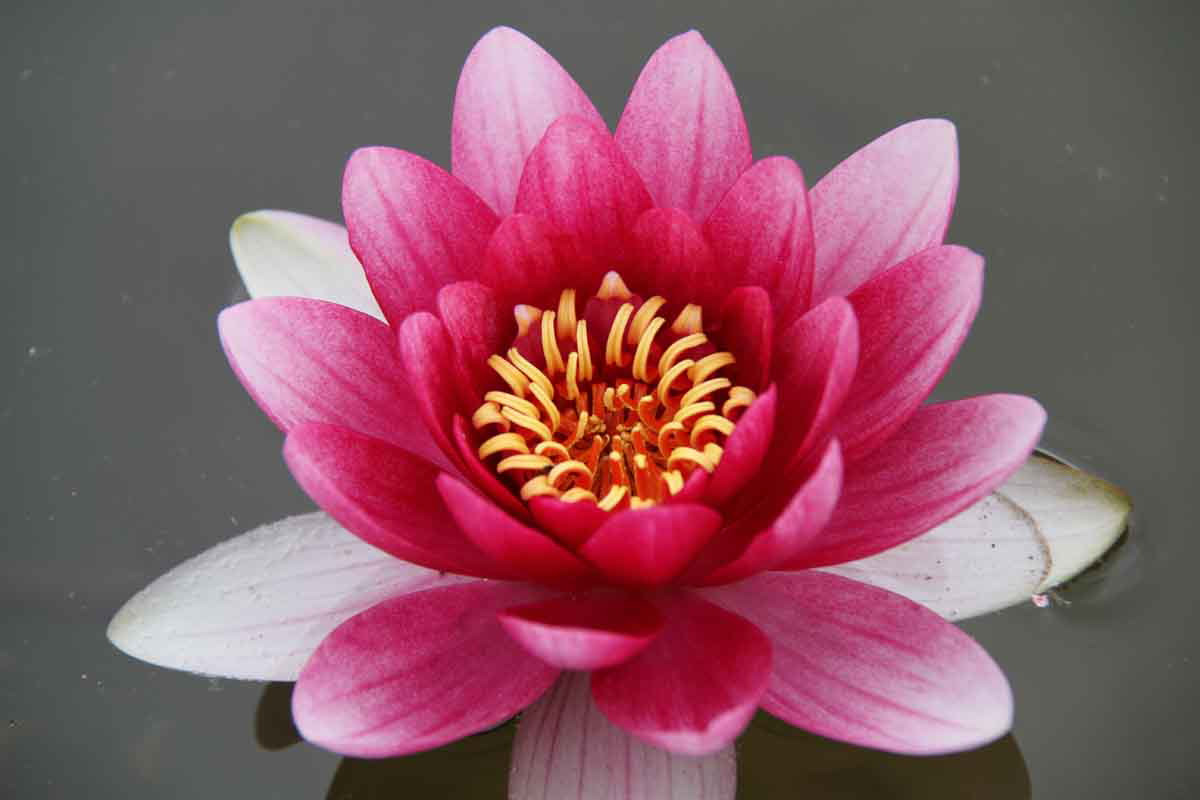 ���悤������������Ⴂ�܂����I