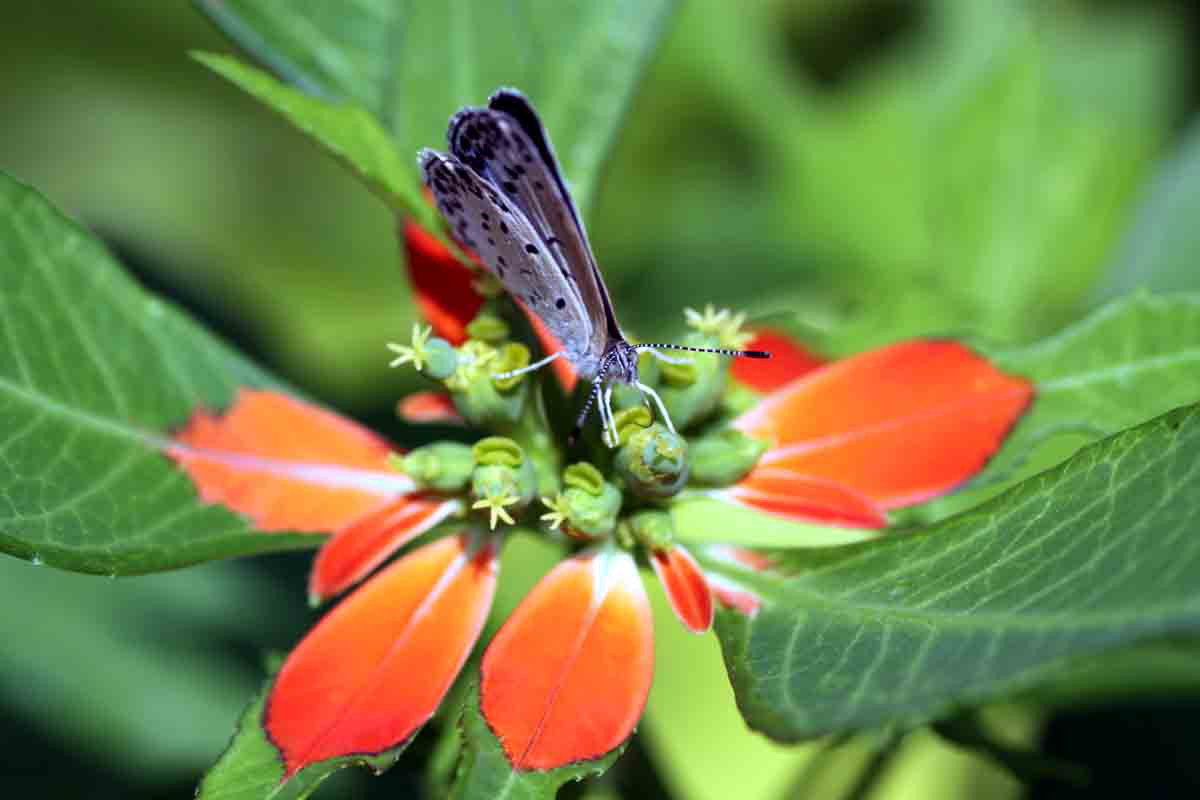 ���悤������������Ⴂ�܂����I