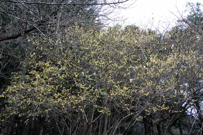 ���悤������������Ⴂ�܂����I