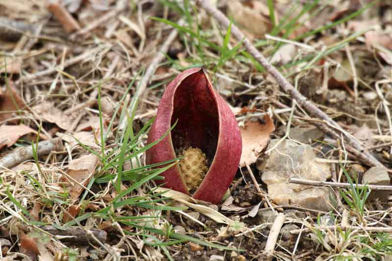 ���悤������������Ⴂ�܂����I