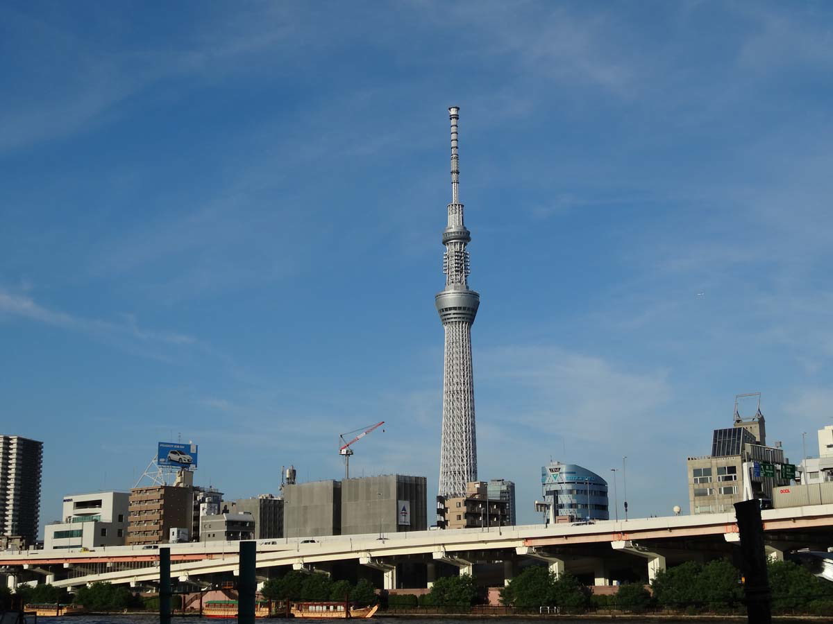 ���悤������������Ⴂ�܂����I