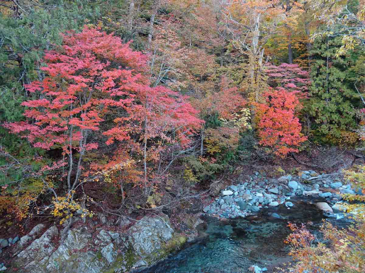 ���悤������������Ⴂ�܂����I