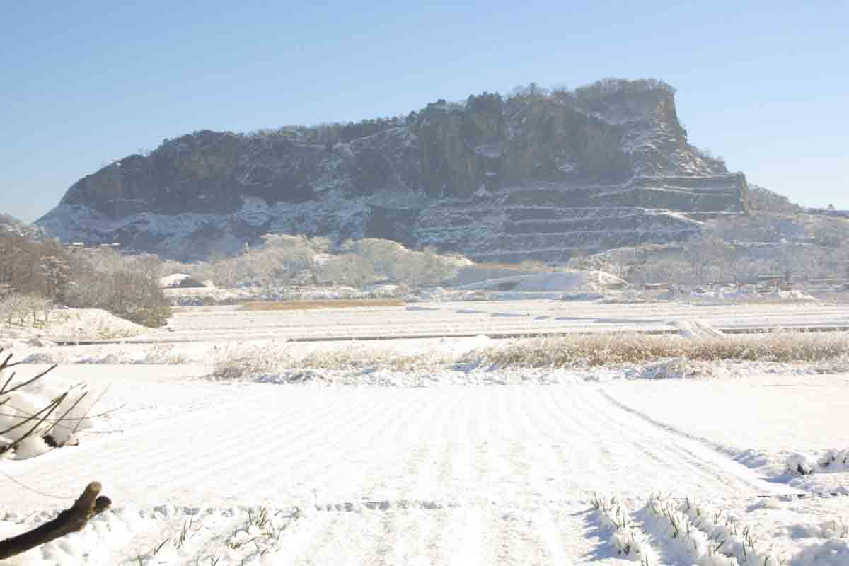 ���悤������������Ⴂ�܂����I