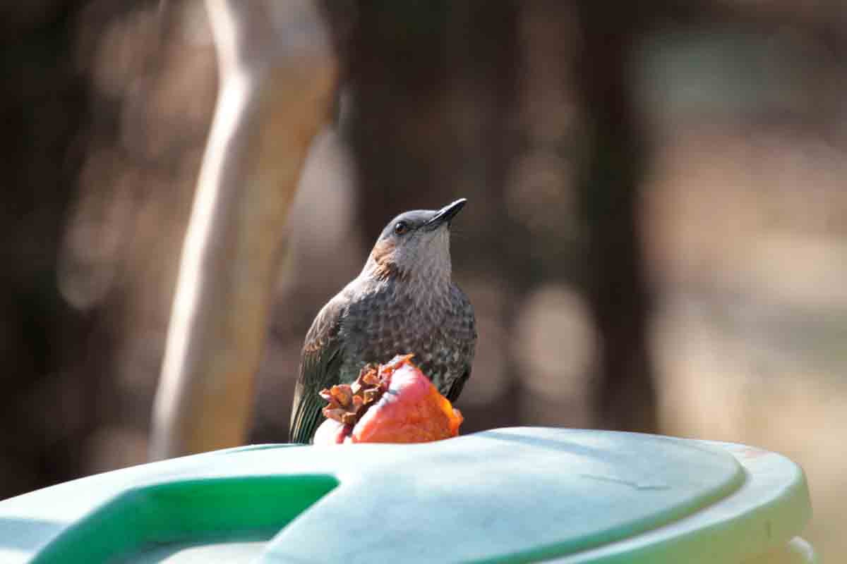 ���悤������������Ⴂ�܂����I