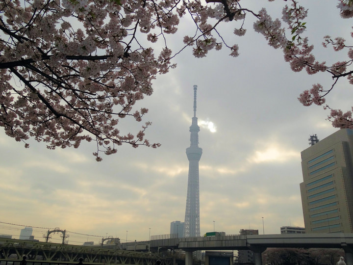 ���悤������������Ⴂ�܂����I