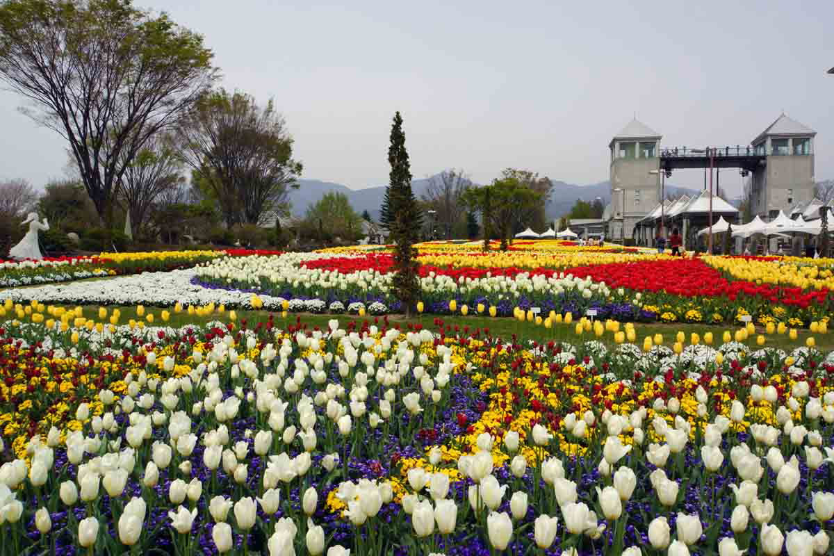 ���悤������������Ⴂ�܂����I