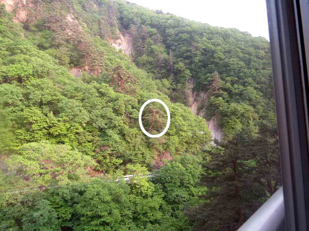 ���悤������������Ⴂ�܂����I