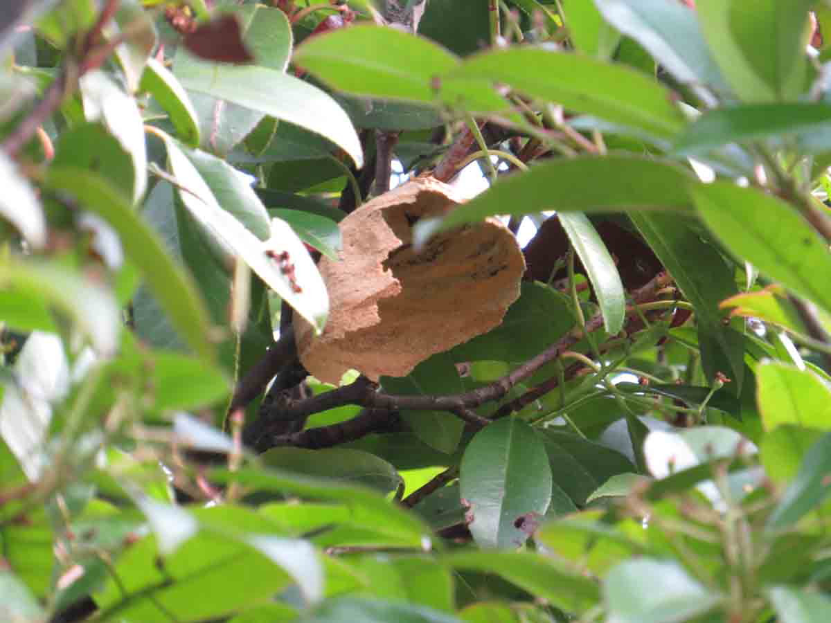 ���悤������������Ⴂ�܂����I