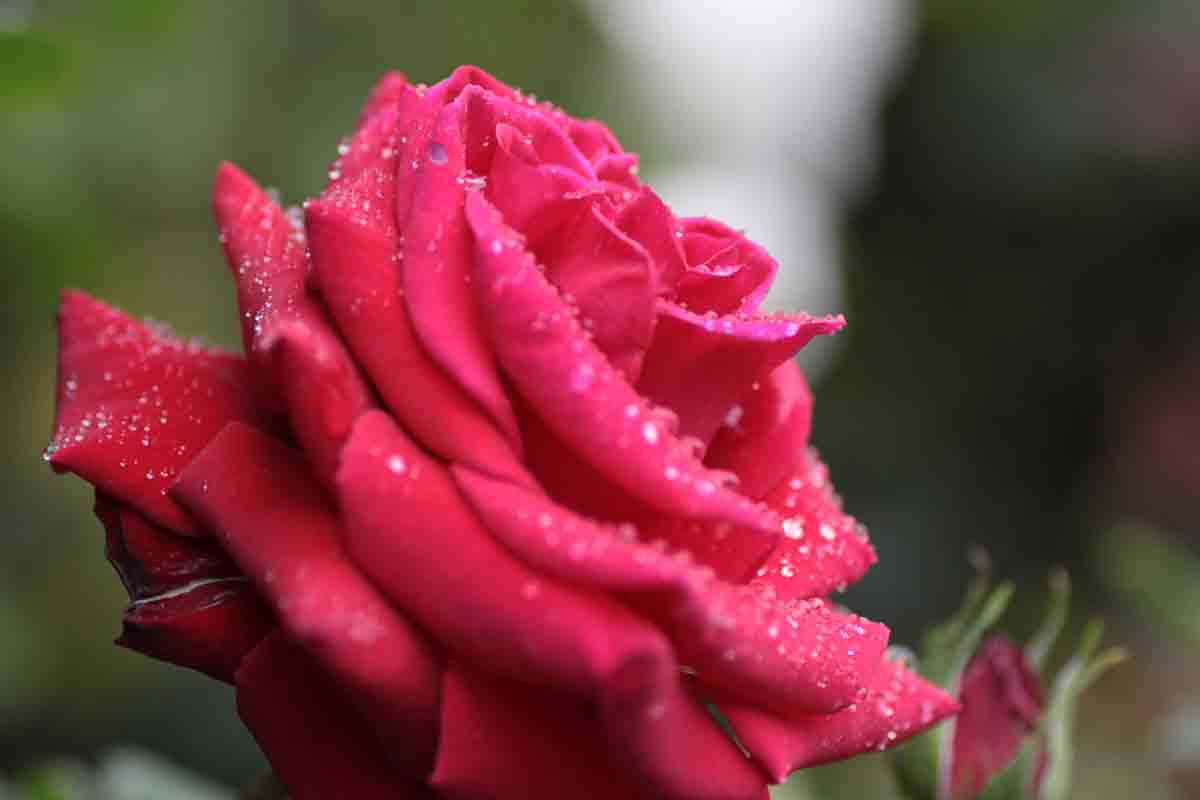 ���悤������������Ⴂ�܂����I